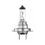 Lampadina H7