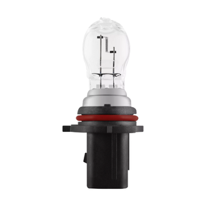 Lampadina P13W