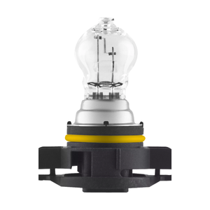 Lampadina PS19W