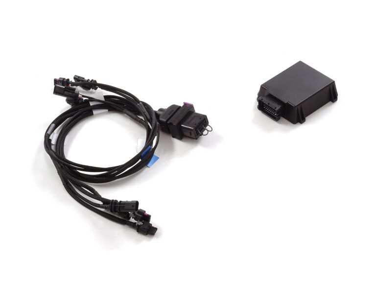 Emulatore per la rimozione del GPF/OPF originale senza modificare il software originale della ECU - Ragazzon 31.0078.01