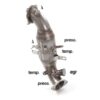 Catalizzatore sportivo Alfa Romeo Giulia Gruppo N – Ragazzon 54.0354.00