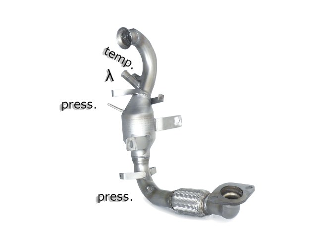 Catalizzatore sportivo Ford C-Max Mk2 Gruppo N - Ragazzon 54.0275.01