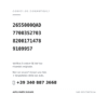 Kompatible OE-Nummern Rückleuchten Rechts Renault Master 2004 (2655000QAD, 7700352703, 8200171478, 9109957). Kundenservice WhatsApp +39 340 887 3668