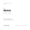 Luce Targa FIAT 95' – Bravo/A Dx=Sx compatibilità veicoli (Fiat BRAVA (1995-2001) · Fiat BRAVO (1995-2001))