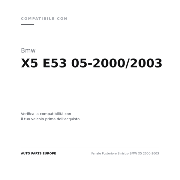Fanale Posteriore Sinistro BMW X5 2000-2003 compatibilità veicoli (Bmw X5 E53 05-2000/2003)