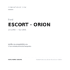 Rückleuchten Links Ford Escort 1991+ compatibilità veicoli (Ford ESCORT - ORION (1990-1995))