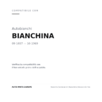Fanalino Autobianchi Bianchina Arancio Dx=Sx compatibilità veicoli (Autobianchi BIANCHINA (1657-1969))