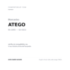Blinklicht Rechts Mercedes Atego 2005+ compatibilità veicoli (Mercedes ATEGO (2005-2013))