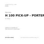 Scheinwerfer Rechts Hyundai H100 Pick-Up - Porter 2004+ compatibilità veicoli (Hyundai H 100 PICK-UP - PORTER (2004+))