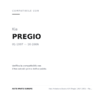Faro Anteriore Destro KIA Pregio 1997-2005 - Manuale compatibilità veicoli (Kia PREGIO (1997-2006))