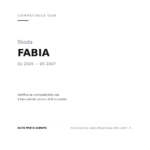 Faro Anteriore Destro Skoda Fabia 2005-2014 - Parabola Cromata compatibilità veicoli (Skoda FABIA (2005-2007))