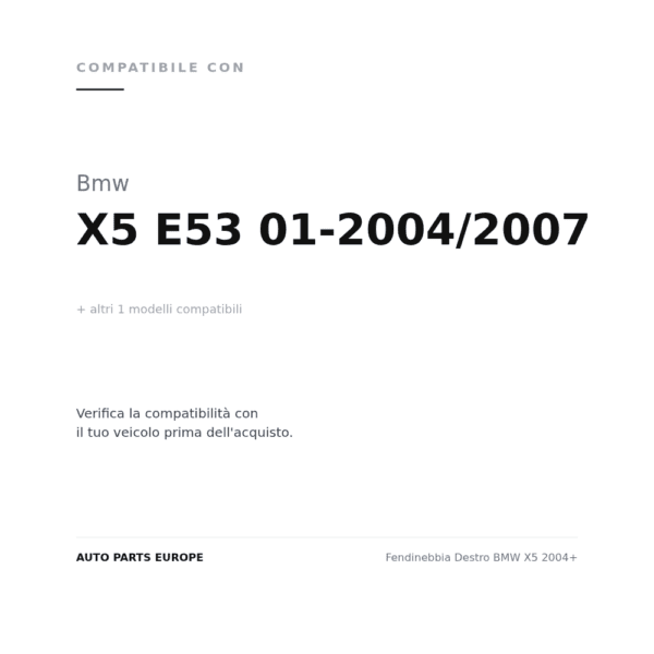 Fendinebbia Destro BMW X5 2004+ compatibilità veicoli (Bmw X5 E53 01-2004/2007 · Bmw X5 E53 05-2000/2003)