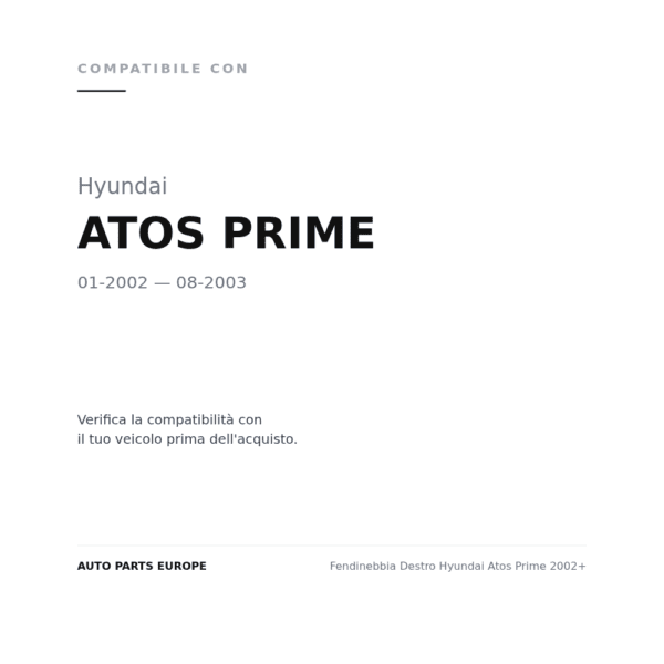 Nebelscheinwerfer Rechts Hyundai Atos Prime 2002+ compatibilità veicoli (Hyundai ATOS PRIME (2002-2003))