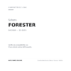 Fendinebbia Destro Subaru Forester 2008+ compatibilità veicoli (Subaru FORESTER (2008-2013))