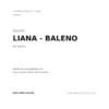 Fendinebbia Destro Suzuki Liana compatibilità veicoli (Suzuki LIANA - BALENO (2001+))