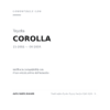 Nebelscheinwerfer Rechts Toyota Corolla 2002-2003 – Kombi compatibilità veicoli (Toyota COROLLA (2001-2004))