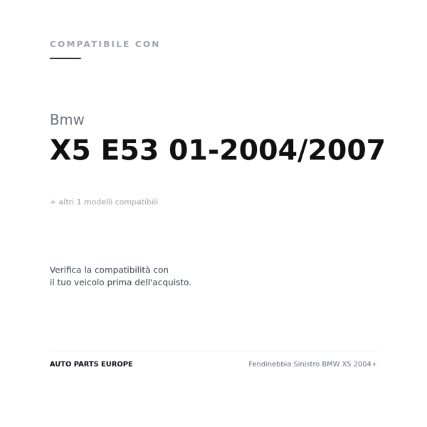 Fendinebbia Sinistro BMW X5 2004+ compatibilità veicoli (Bmw X5 E53 01-2004/2007 · Bmw X5 E53 05-2000/2003)