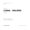 Fendinebbia Sinistro Suzuki Liana compatibilità veicoli (Suzuki LIANA - BALENO (2001+))