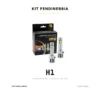 Kit lampadine LED FENDINEBBIA H1 LUXDRIVE 6000K