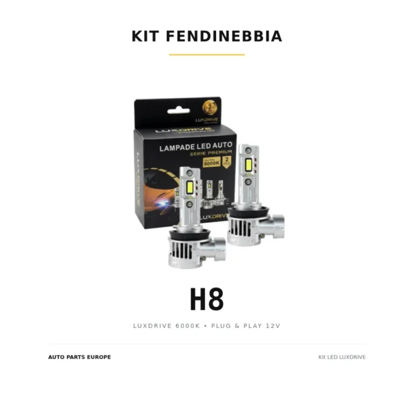 Kit lampadine LED FENDINEBBIA H8 LUXDRIVE 6000K