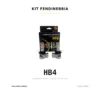 Kit lampadine LED FENDINEBBIA HB4 LUXDRIVE 6000K