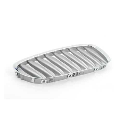 Griglia Anteriore Destra BMW Z4 E85/E86 dal 2003 Grigia