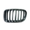 Griglia Anteriore Sinistra BMW X3 F25 dal 2010, originale 51117237421