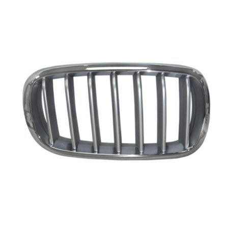 Griglia Destra BMW X5 F15 dal 2014, originale 51117303108