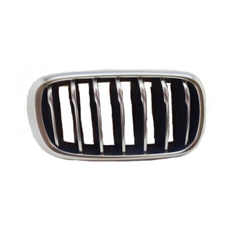 Griglia Destra BMW X6 F16 dal 2014 Silver e Nera