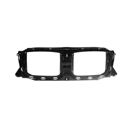 Griglia Interna BMW X3 G01 dal 2021 Aperta