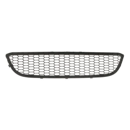 Griglia Paraurti Anteriore BMW Serie 1 dal 2004 al 2007 M-Tech Nera, originale 51117906809
