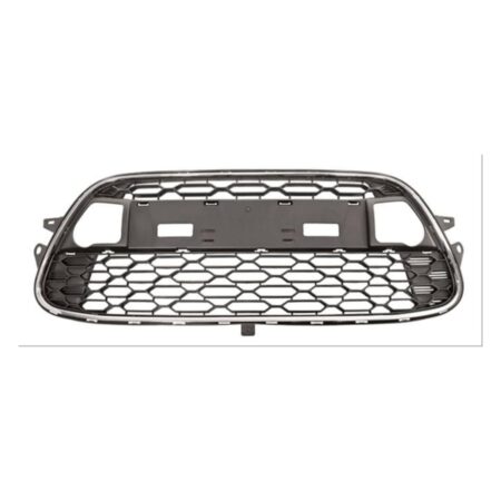 Griglia Paraurti Anteriore Citroen C3 dal 2009 con Modanatura Cromata