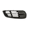 Stoßstangengrill Vorne Rechts BMW Serie 5 F10/F11 ab 2013, Originalnummer 51117331728, 51117331734