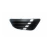 Stoßstangengrill Vorne Rechts Ford Fiesta 2002–2005, Originalnummer 1151484