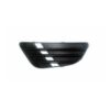 Griglia Paraurti Anteriore Sinistra Ford Fiesta dal 2002 al 2005, originale 1151486, 701805591K