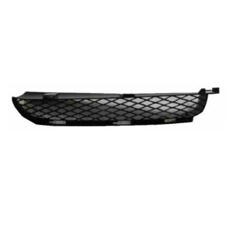 Griglia Paraurti Anteriore Superiore Sinistra BMW X5 E70 dal 2004 al 2006