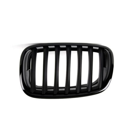 Griglia Sinistra BMW X5 E70 dal 2007 M-Tech Nera Lucida