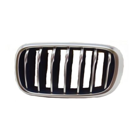 Griglia Sinistra BMW X6 F16 dal 2014 Silver e Nera