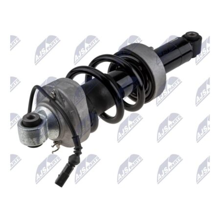 Ammortizzatore Anteriore Sinistro Audi R8 2007-2015 / R8 Spyder 2010-2015 con AMR, originale 420412019AF, 420412019AG