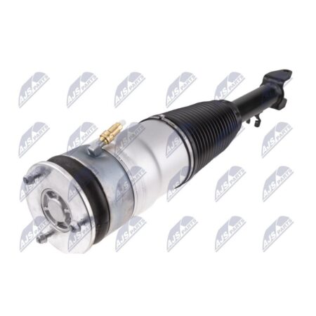 Ammortizzatore Anteriore Sinistro o Destro Tesla Model S RWD 2012-2016 Sospensione Pneumatica, originale AS-4328, 600635100C