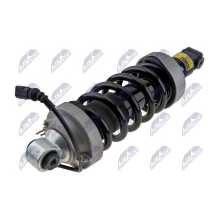Ammortizzatore Posteriore Destro Audi R8 2007-2015 / R8 Spyder 2010-2015 con AMR, originale 420512020AE, 420512020AF