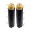 Kit Parapolvere e Tampone Ammortizzatore Posteriore Opel Astra 2009-2018 / Zafira Tourer 2011+, originale 13251782, 436520