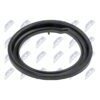 Piattello Reggimolla Anteriore Toyota RAV4 1993-2005 / Lower – foto 2