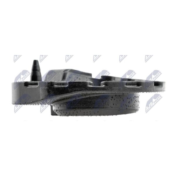 Federtopf Hinten Nissan X-Trail T31 2007-2013 / Lower – Bild 5
