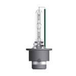 Lampadina D4S