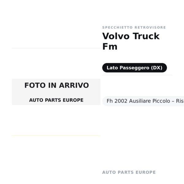 Specchietto Retrovisore Destro Volvo Truck Fm-Fh 2002 Ausiliare Piccolo – Riscaldato – foto 2