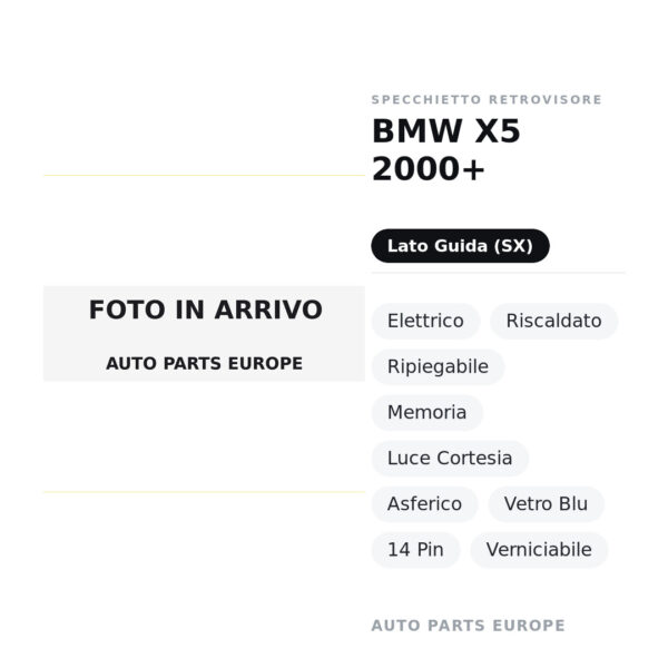Specchietto Retrovisore Sinistro BMW X5 2000+ – Elettrico, Riscaldato, Ripiegabile, Memoria, Luce Cortesia, Asferico, Vetro