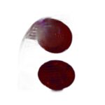 Fanale Posteriore Sinistro Volkswagen Passat 2001-2004 - Berlina