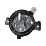 Fendinebbia Destro BMW X5 E70 2010+ - Versione Hella (H11)
