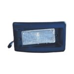 Fendinebbia Destro FIAT Ducato 2003+, originale 96205043